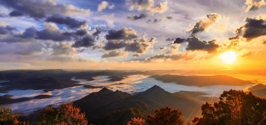 叶子人型工坊有限公司轮播图2