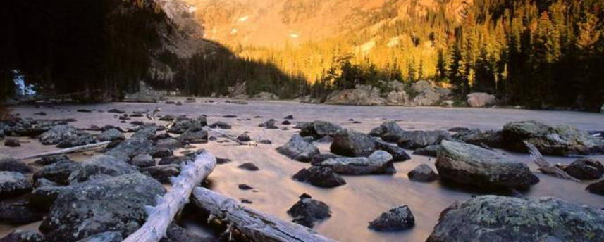 叶子人型工坊有限公司轮播图2